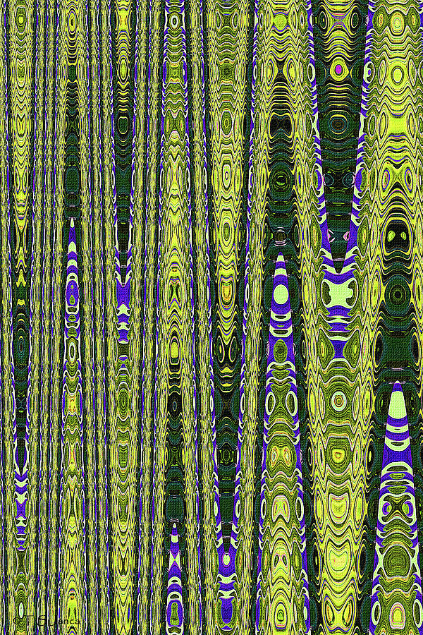 Abstract #9062sw Digital Art by Tom Janca