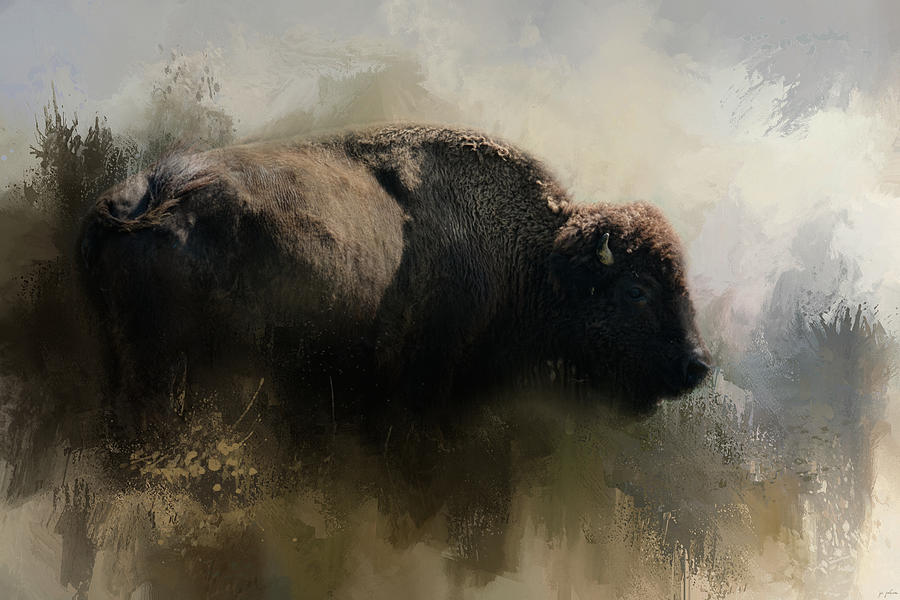 Abstract American Bison Photograph by Jai Johnson