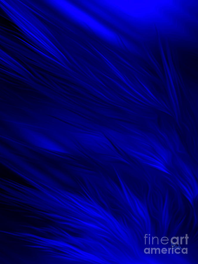 Abstract art - Feathered path blue by RGiada Digital Art by Giada Rossi