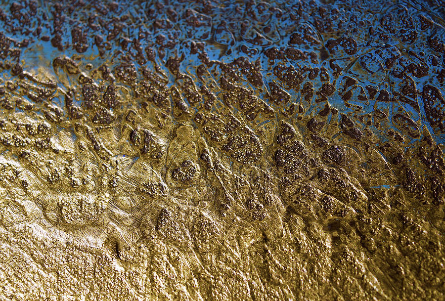 Abstract Photograph - Abstract Artography 560004 by E Lee Wilson Jr Abstract Photograph - Abstract Artography 560004 by E Lee Wilson Jr