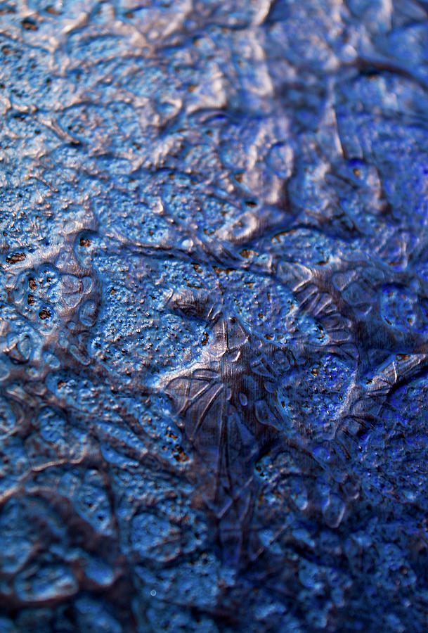 Abstract Photograph - Abstract Artography 560006 by E Lee Wilson Jr Abstract Photograph - Abstract Artography 560006 by E Lee Wilson Jr