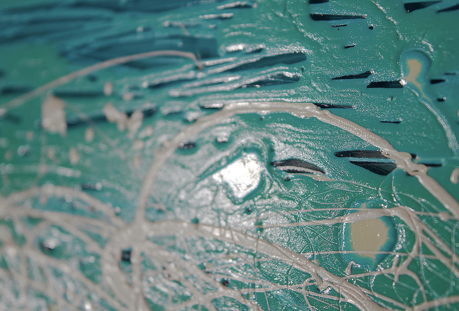 Abstract Photograph - Abstract Artography 560092 by E Lee Wilson Jr Abstract Photograph - Abstract Artography 560092 by E Lee Wilson Jr