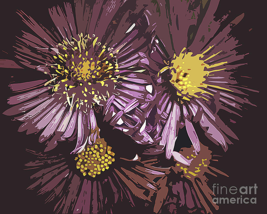 Flower Photograph - Abstract Aster Flowers by Miss Dawn