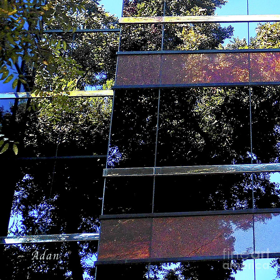Abstract Austin #5 Macro Square #2 Photograph by Felipe Adan Lerma