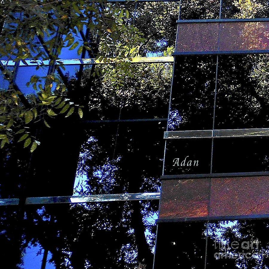 Abstract Austin #5 Macro Square #4 Photograph by Felipe Adan Lerma