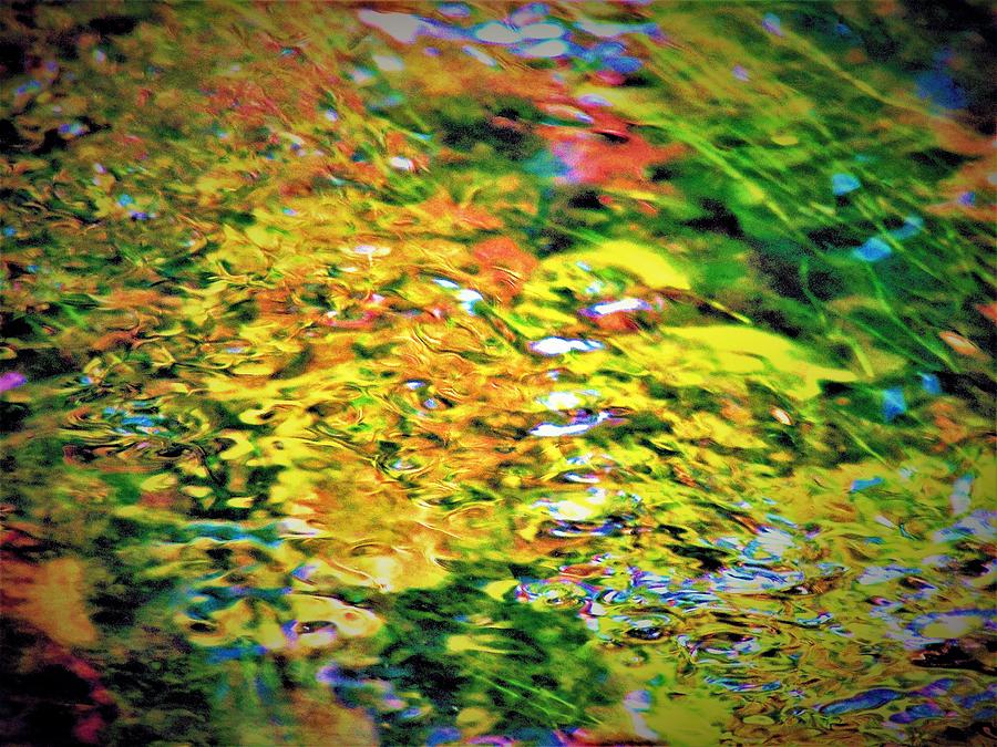 Abstract Autumn Creek Photograph