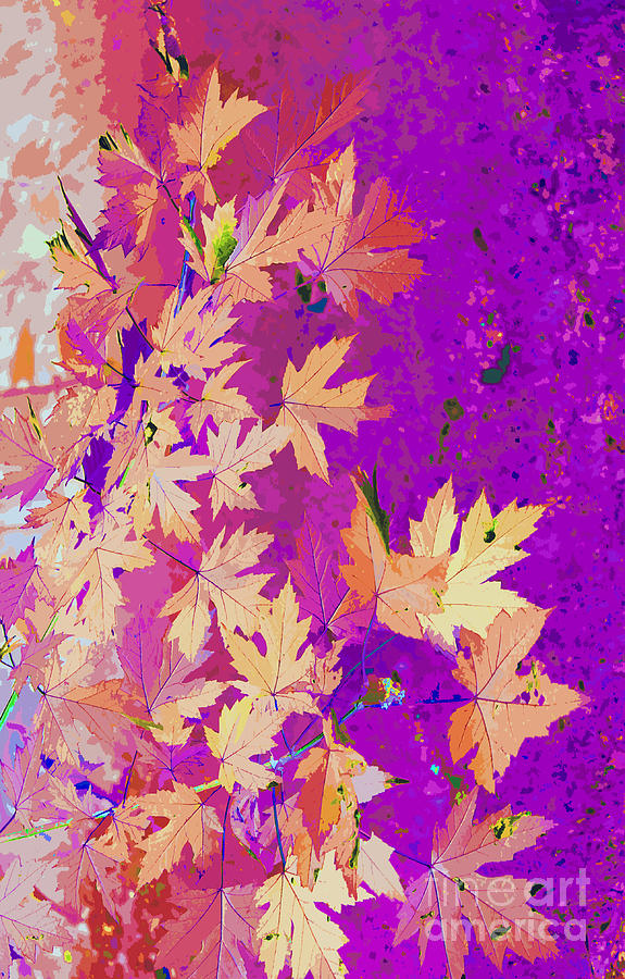 Abstract Autumn Nature Photograph by Nina Silver