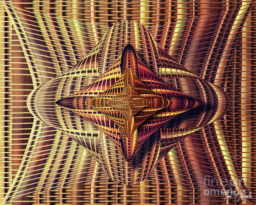 Abstract Basket 6 Digital Art by Tim Wemple