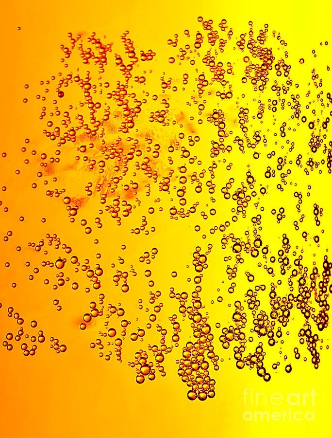 Abstract beer background Photograph by Anna Om