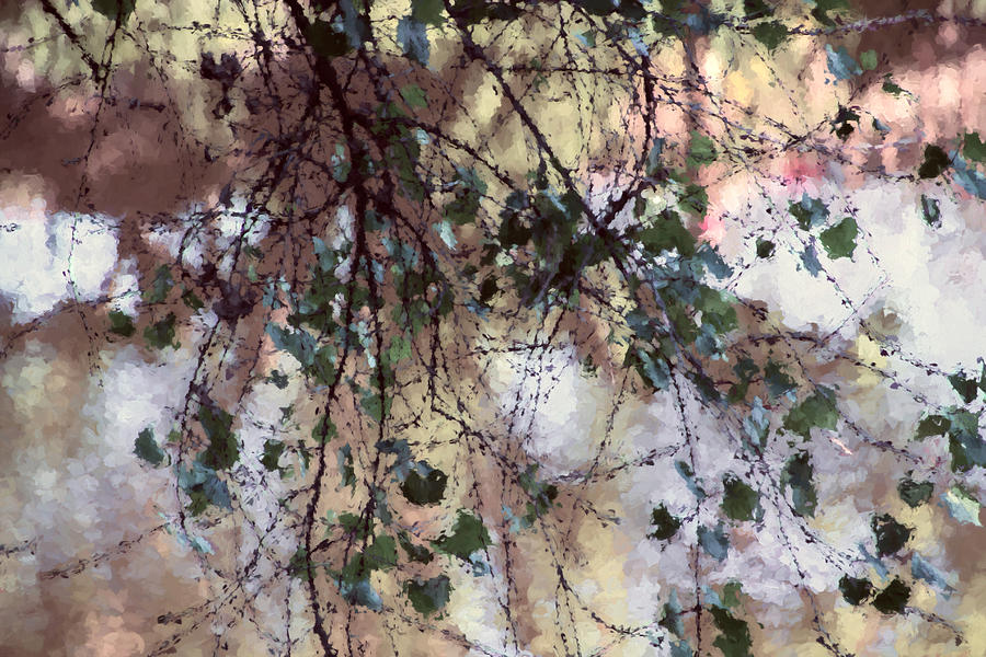 Abstract Birch Mixed Media by Terry Davis