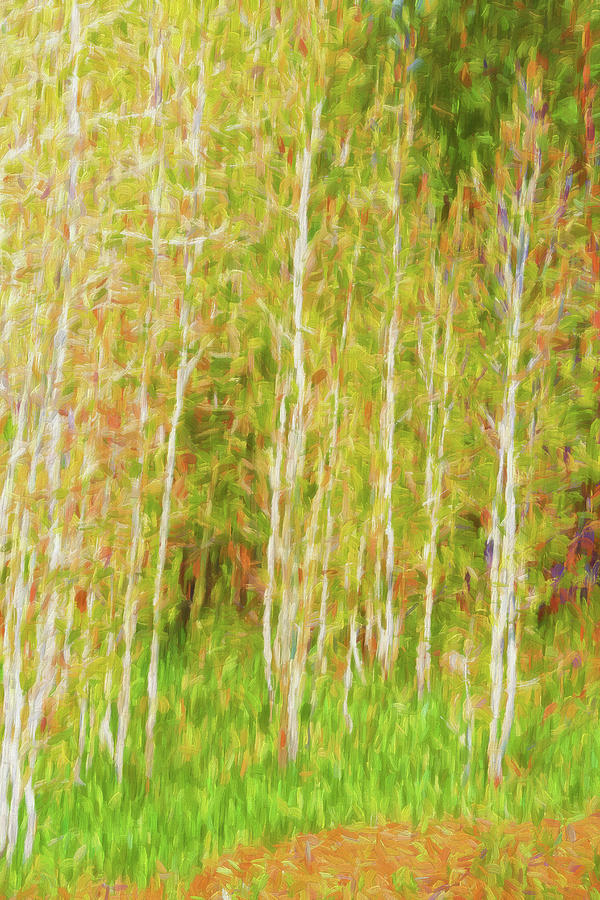 Abstract Birches Digital Art by Terry Davis