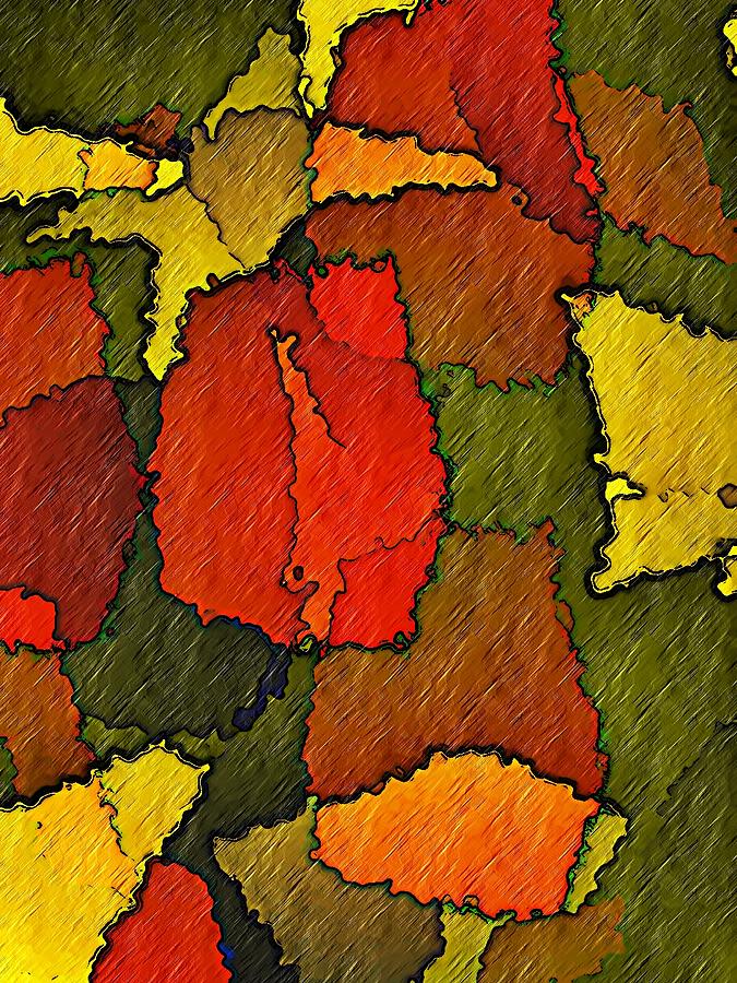 Abstract Bloom Digital Art by Terry Mulligan