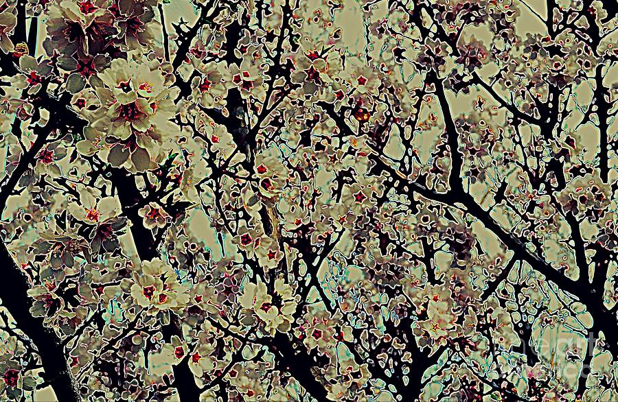 Abstract Blossoms Photograph by Diane montana Jansson