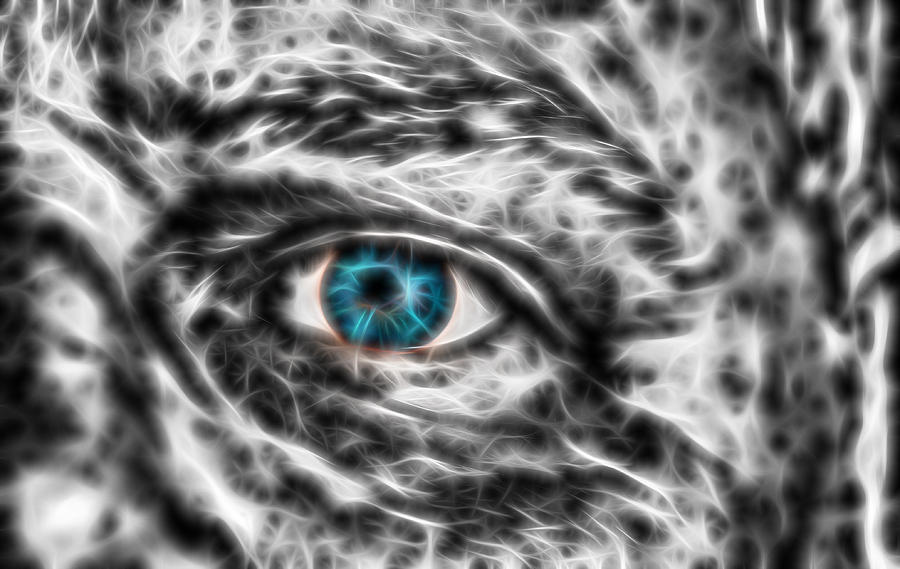 Abstract Blue Eye Photograph by Scott Carruthers