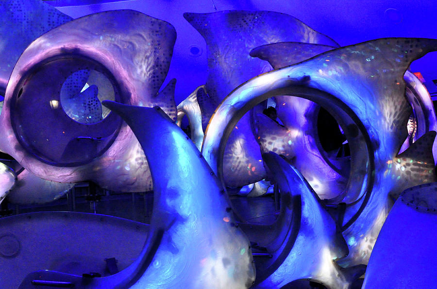 Abstract blue purple Photograph by Diane Lent