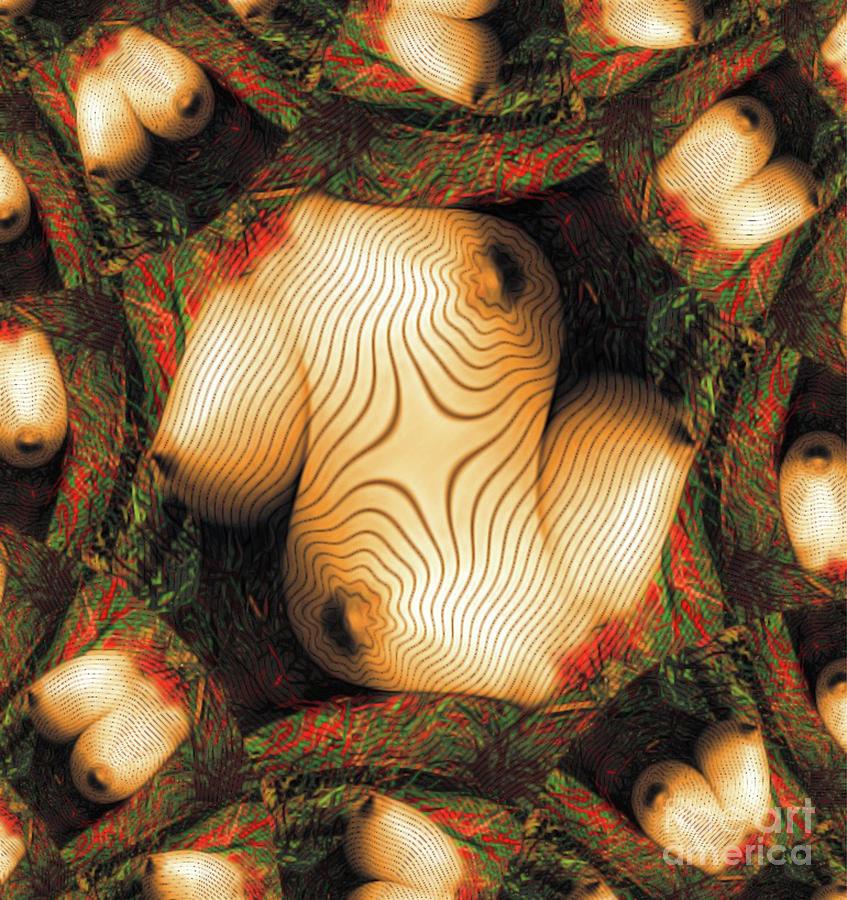 Abstract Breasts By Mb Digital Art