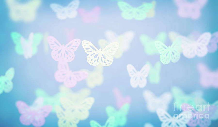 Abstract butterfly background Photograph by Anna Om