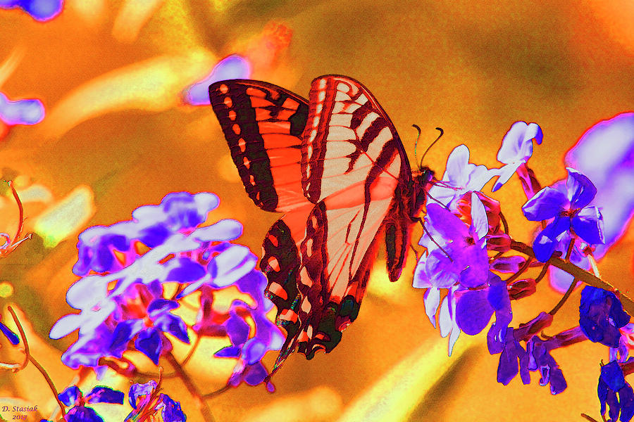 Abstract Butterfly Digital Art by David Stasiak