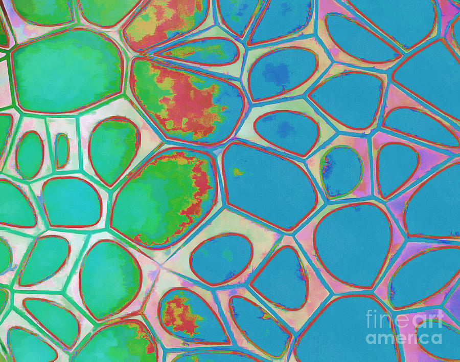 Abstract Cells 4 Painting by Edward Fielding