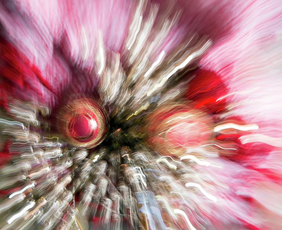Abstract Christmas 2 Photograph by Rebecca Cozart