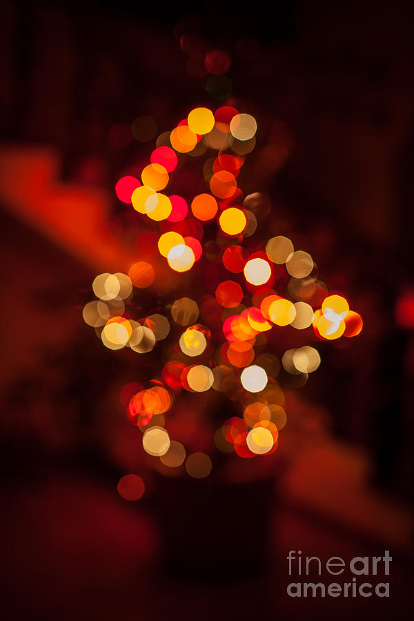 Christmas Photograph - Abstract Christmas Tree by Corina Daniela Obertas