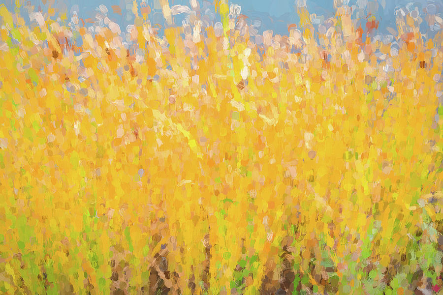 Abstract Colorful Cattails Grasses Painting Photograph