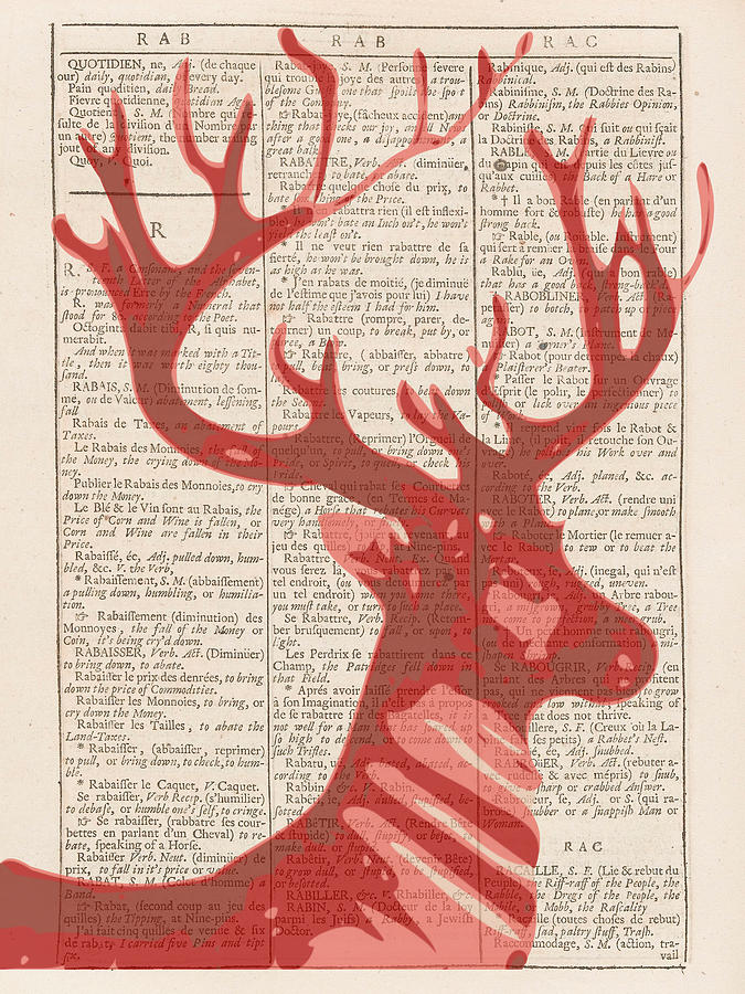 Abstract Deer On Dictionary Digital Art