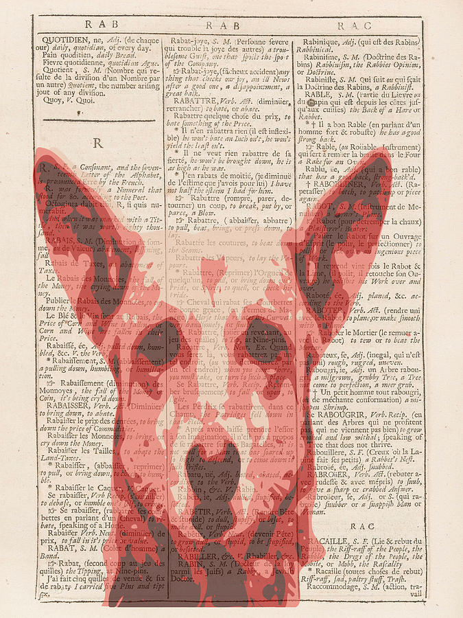 Abstract Dog On Dictionary Digital Art