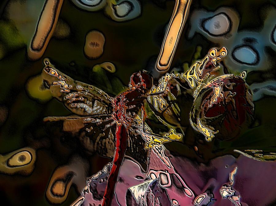 Abstract Dragonfly Digital Art by Belinda Cox