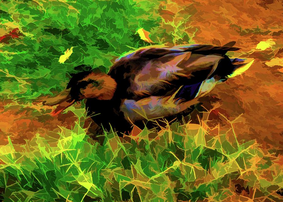 Abstract Duck 17 by Kristalin Davis Photograph by Kristalin Davis Fine Art America