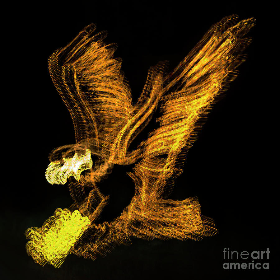 Abstract Photograph - Abstract Eagle by Skip Willits