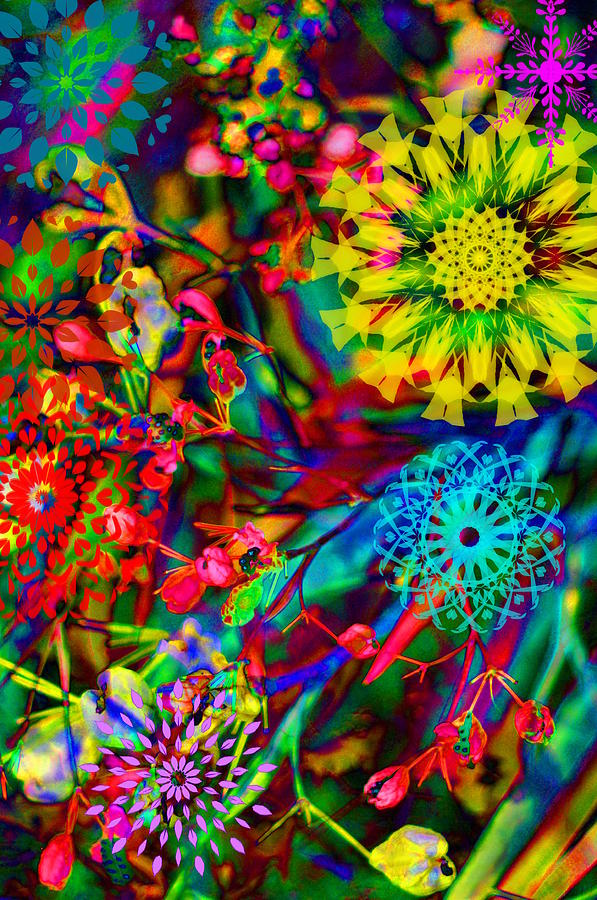 Abstract Electric Garden Photograph by Suzanne Powers