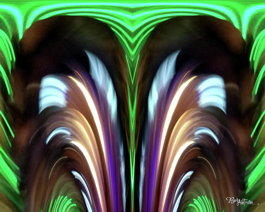 Abstract Exciting #0609_1a Digital Art by Barbara Tristan