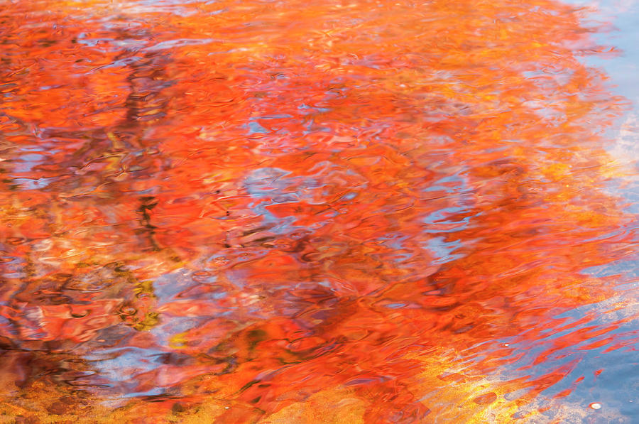 Colors reflecting in a pond becomes a wash of color. Photograph by Usha Peddamatham