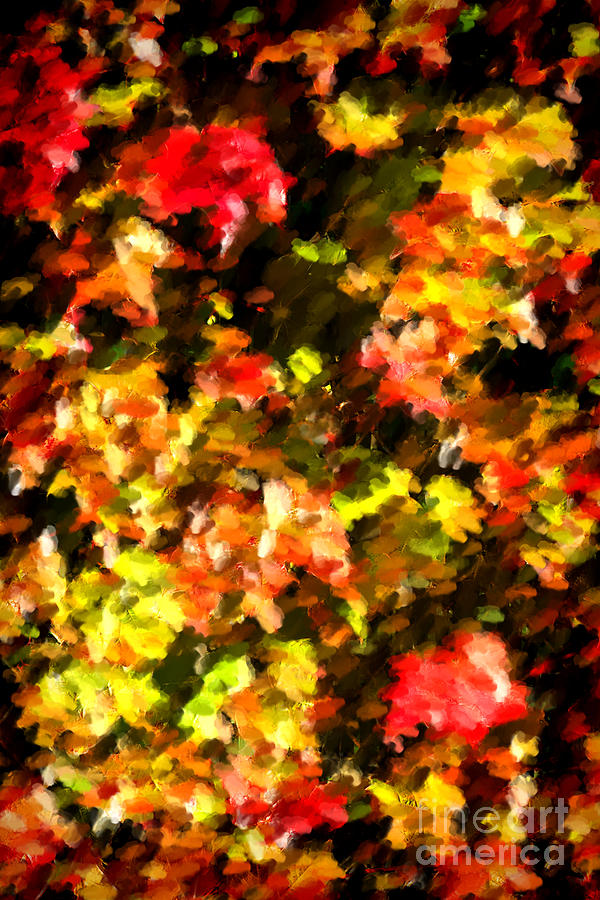Abstract Fall Vine Photograph by Olivier Le Queinec