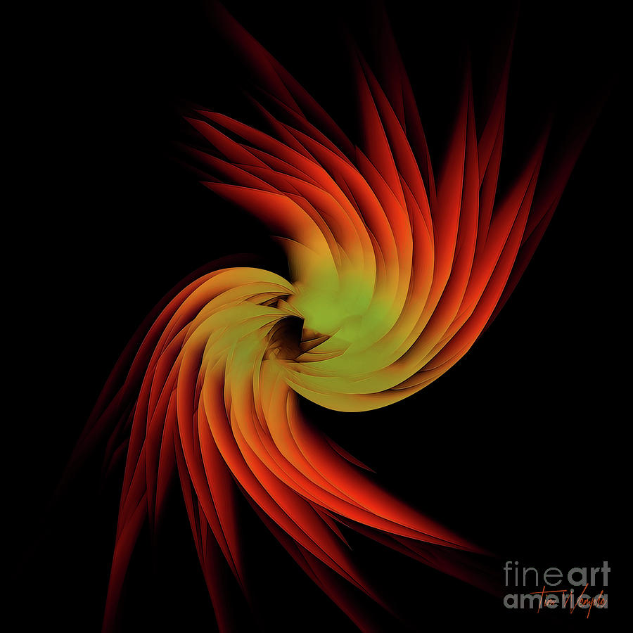 Abstract Feather 1 Digital Art by Tim Wemple