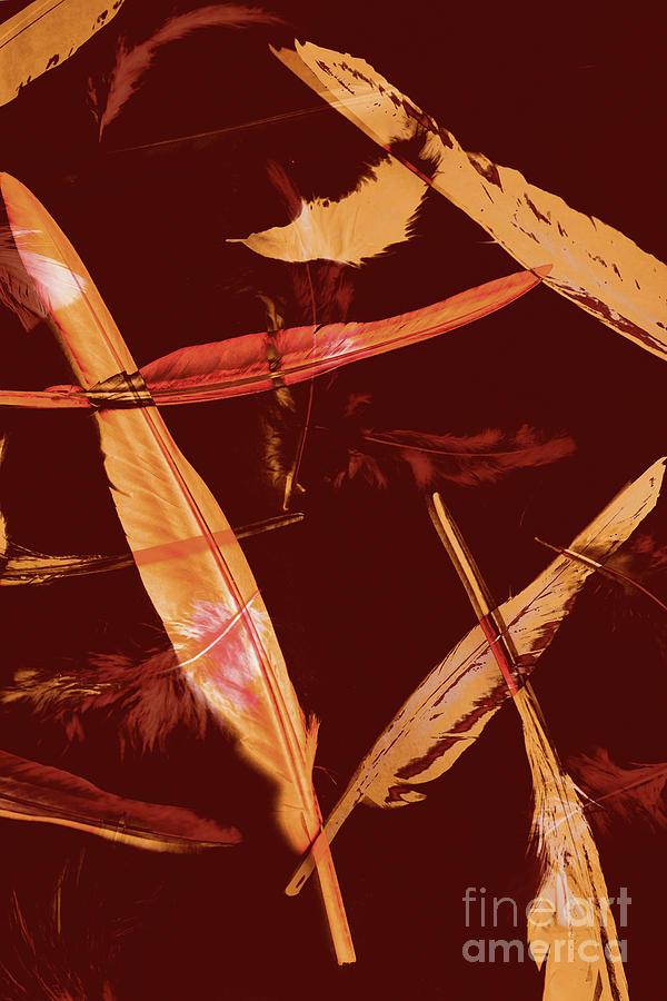 Feather Photograph - Abstract feathers falling on brown background by Jorgo Photography