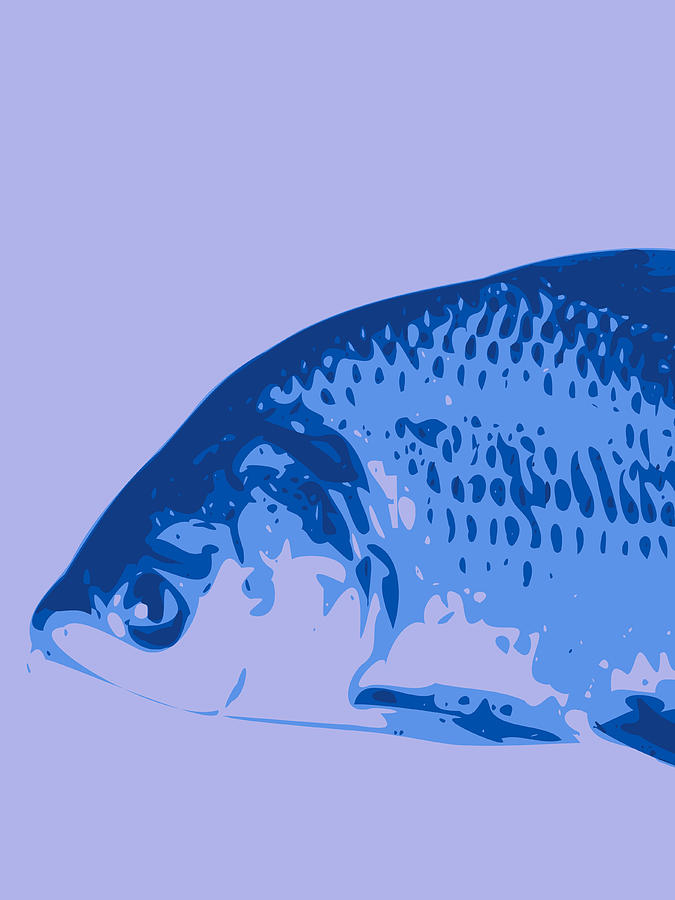 Abstract Fish Contours Blue Digital Art