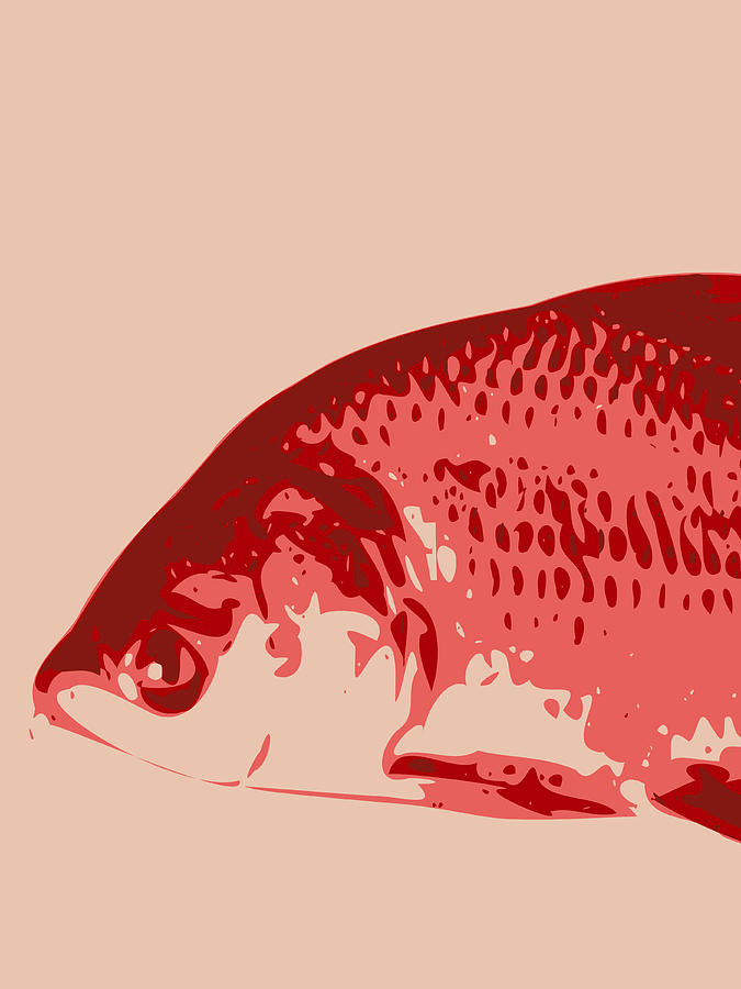 Abstract Fish Contours red Digital Art by Keshava Shukla