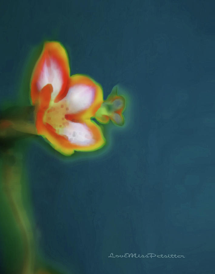 Abstract Digital Art - Abstract Floral Art 69 by Miss Pet Sitter
