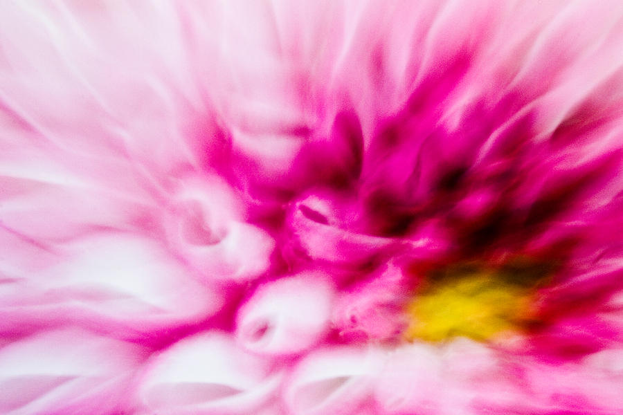 Abstract Floral No. 1 Photograph by Andrew Giovinazzo