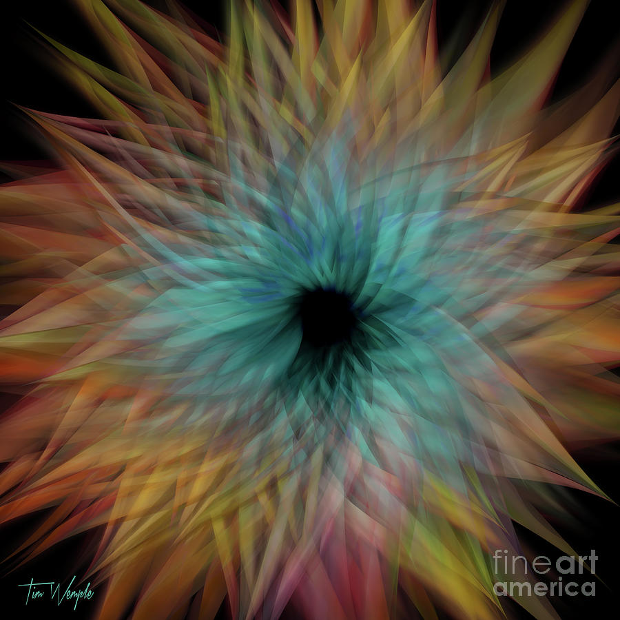 Abstract Flower 1 Digital Art by Tim Wemple