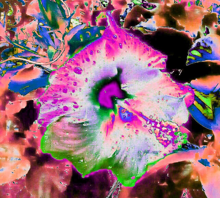 Abstract Flower 6 Photograph by Brenae Cochran