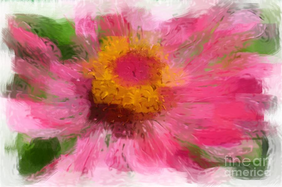Abstract Flower Expressions Photograph by Robyn King