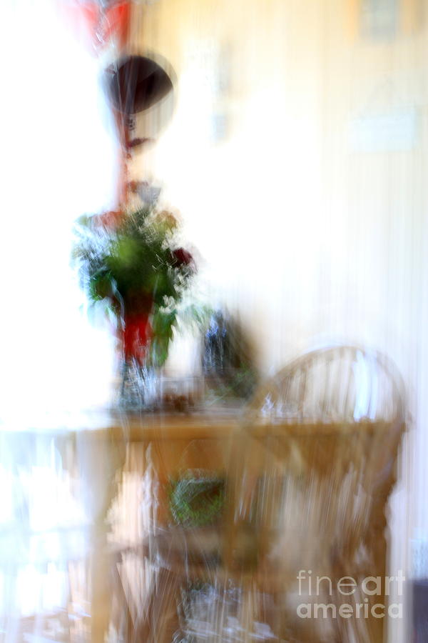 Abstract Flowers and Vase Photograph by Rick Rauzi