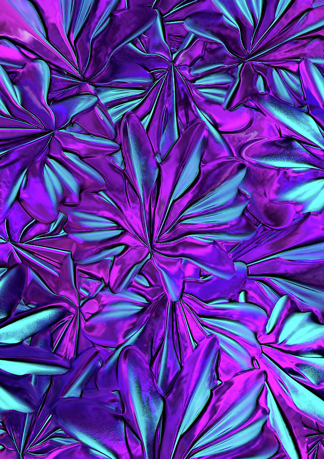 Abstract Digital Art - Abstract Flowers by Imran Besic