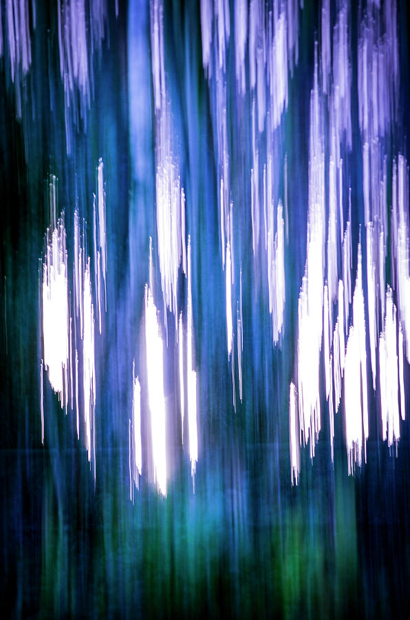 Abstract Forest 2 Photograph by Spikey Mouse Photography