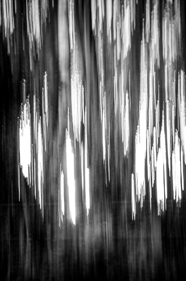 Abstract Forest 4 Photograph by Spikey Mouse Photography