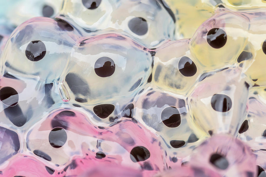 Abstract Frogspawn - Photograph by Chris Smith