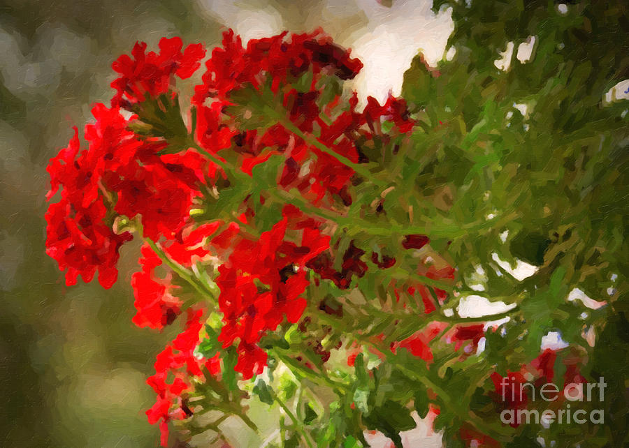 Abstract Geraniums in Red Painting by Janice Pariza